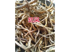 云南新防風(fēng)(銅蕓、回云)中藥材行情@墨江防風(fēng)中藥材供貨商圖3
