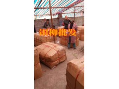 銀柳批發(fā)價格@今日銀柳昆明批發(fā)市場報價表_銀柳供求信息圖3