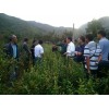 認定為全省種植育苗示范基地_會澤高老莊農(nóng)業(yè)莊園有限公司
