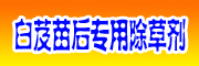 白芨中藥材苗后除草劑