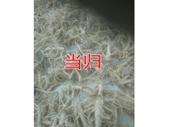 三七價格2016價格查詢&云三七的價格查詢%圖2