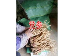 三七價格2016價格查詢&云三七的價格查詢%圖3