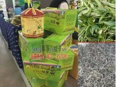西雙版納 勐?？h哪里有綠茶制品廠圖1