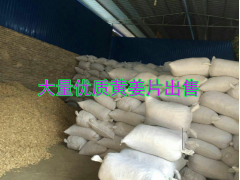 云南小黃姜加工干姜片、泡姜、姜果、鮮姜批發(fā)圖1