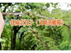 余甘子中藥材的產(chǎn)地#余甘子中藥材報價圖2
