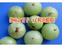 余甘子中藥材的產(chǎn)地#余甘子中藥材報價圖3