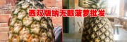 菠蘿多少錢一斤？