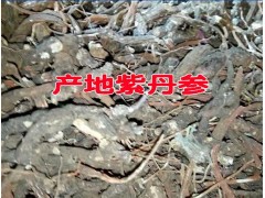 今年紫丹參多少一斤？圖1