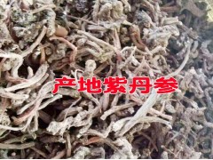 赤參、山參、奔馬草(又名丹參)_產(chǎn)地紫丹參供貨商價(jià)格圖1