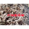 赤參、山參、奔馬草(又名丹參)_產(chǎn)地紫丹參供貨商價(jià)格