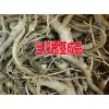 適合云南種植的中藥材種子銷售(當(dāng)歸/獨定子/重樓/白芨)