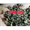 產(chǎn)區(qū)草烏種子多少錢(qián)一斤@新紫草烏(黃草烏)種子種植戶(hù)