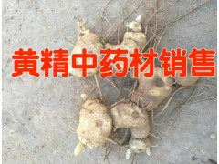 雞頭參,囊絲黃精(白芨黃精)云南黃精根莖現(xiàn)在多少錢(qián)圖1