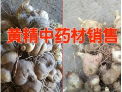 雞頭參,囊絲黃精(白芨黃精)云南黃精根莖現(xiàn)在多少錢(qián)圖2