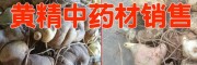 云南黃精根莖價(jià)格(收購公司報(bào)價(jià))
