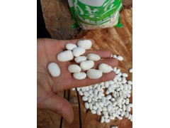 白蕓豆產(chǎn)地&白蕓豆多少錢一斤*2017年白蕓豆農(nóng)民自銷圖2