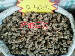 正宗20頭超細(xì)粉批發(fā)銷售@云南三七[20_60頭]價(jià)格播報(bào)圖2