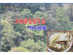 金平蜂蜜多少錢一斤&紅河蜂蜜批發(fā)供應(yīng)商圖2