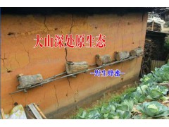 云南百花蜜養(yǎng)殖基地&優(yōu)質(zhì)云南蜂蜜批發(fā)銷售經(jīng)營部圖1
