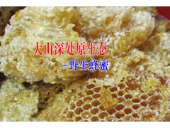 云南百花蜜養(yǎng)殖基地&優(yōu)質(zhì)云南蜂蜜批發(fā)銷售經(jīng)營部圖3