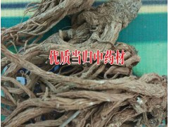 云南當(dāng)歸中藥材供應(yīng)商#哪里的當(dāng)歸低價(jià)#當(dāng)歸中藥材基地信息圖1