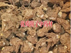 附子中藥材批發(fā)價格@云南曲靖附子種植基地&曲靖附子收購商圖1