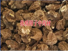附子中藥材批發(fā)價格@云南曲靖附子種植基地&曲靖附子收購商圖3