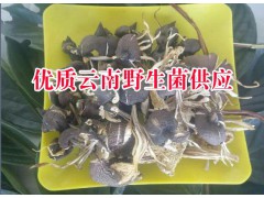 2017優(yōu)質(zhì)云南菌大全@云南都有哪些菌(廠家)圖1