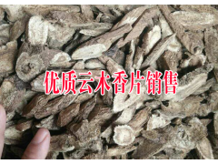 產地云木香市場價格&2017優(yōu)質云木香又叫廣木香、木香供應商圖2