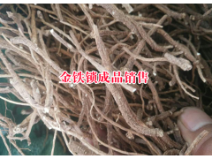 云南新金鐵鎖種子價格#麗江三叉白芨價格圖1