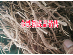 云南新金鐵鎖種子價格#麗江三叉白芨價格圖3