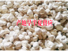 旱半夏#帶你認(rèn)識旱半夏中藥材%旱半夏圖片|哪里旱半夏多圖1