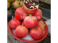 軟籽石榴多少錢(qián)一斤#大籽石榴# 求購(gòu)軟籽石榴樹(shù)苗圖1