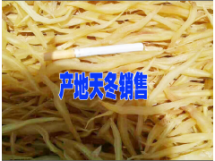 大天冬怎么賣大天冬價格#天冬種植成本多少一畝圖1