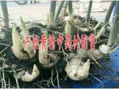貴州產(chǎn)什么中藥材*黃精價格多少錢一斤#圖3