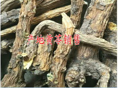 今日黃苓(也叫花淡苓、條苓)新種植戶報價@圖1
