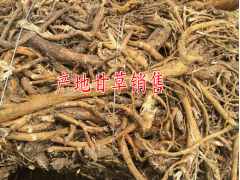 貴州哪里收中藥材？—甘草種植基地信息#圖3