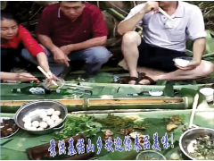 景洪普洱茶#西雙版納小?？Х?傣族的蟲類美食銷售圖1