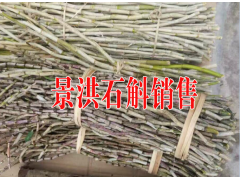 景洪普洱茶#西雙版納小?？Х?傣族的蟲類美食銷售圖3