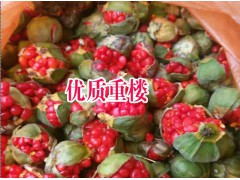 云南重樓種植基地價(jià)格#云南重樓種植基地價(jià)格#圖1