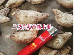 白芨市場價格是多少？白芨中藥材批發(fā)市場報價圖2