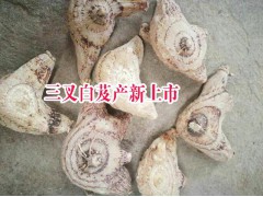 白芨市場價格是多少？白芨中藥材批發(fā)市場報價圖3