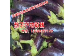 茄子供求信息\價格信息\行情分析等網上信息服務