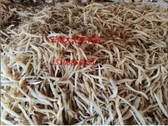 天冬種子春秋兩季種植技術(shù)#大天冬種子種植佳時(shí)節(jié)圖2