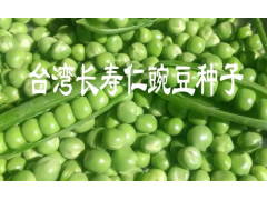 云南豌豆莢種子銷售價(jià)格087164155848圖2