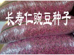 云南豌豆莢種子銷售價(jià)格087164155848圖3