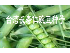 云南豌豆莢種子銷售價(jià)格087164155848圖1