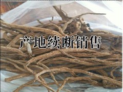 云南續(xù)斷市場(chǎng)價(jià)是多少?哪里續(xù)斷種植多?圖1