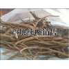 云南續(xù)斷市場價是多少?哪里續(xù)斷種植多?