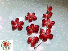 貴州畢節(jié)哪里有軟籽石榴小苗賣?圖1